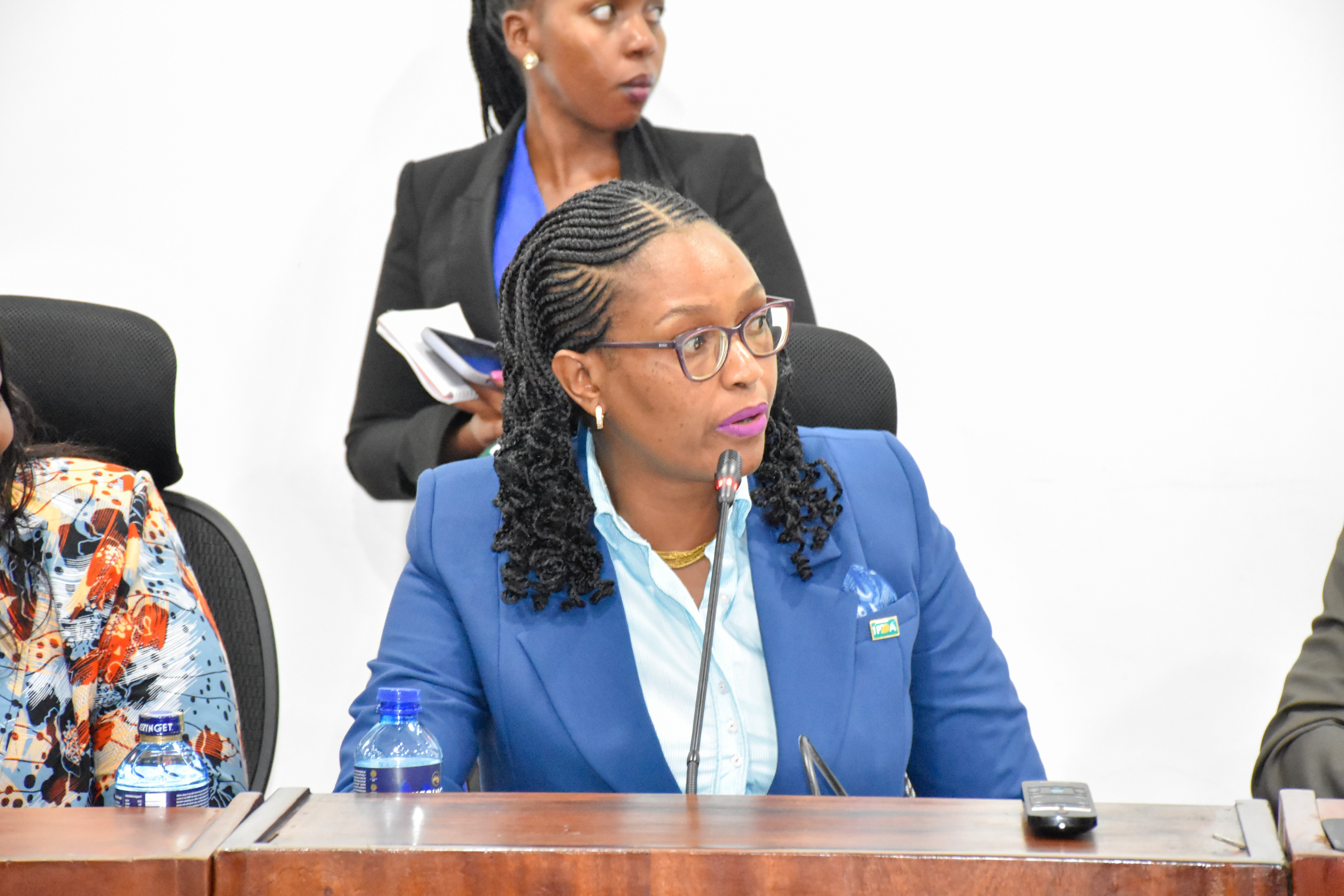 IPOA Vice Chair Anne Wanjiku before Security Committee IPOA Vice Chair Anne Wanjiku before Security Committee