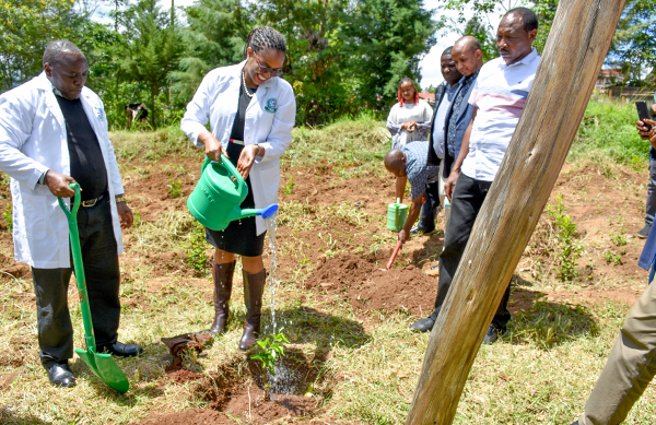 IPOA Vice Chairperson Anne Wanjiku Leads Tree-Planting Initiative at Machakos Institute for the Blind